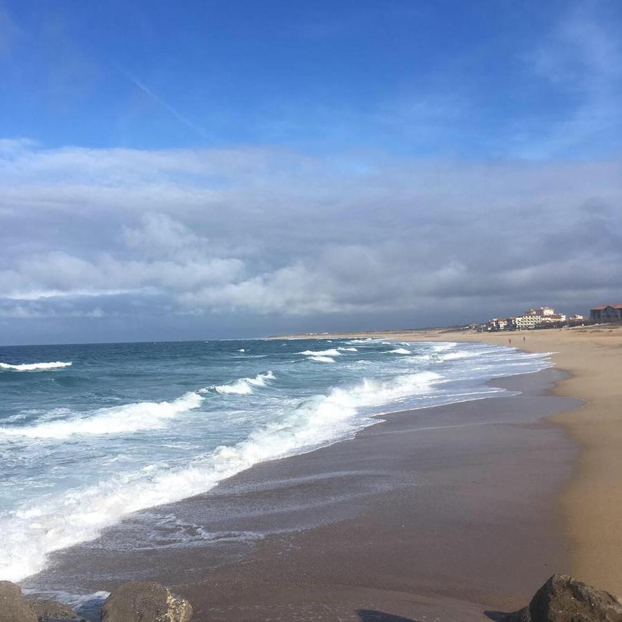 L Escapade Leilighet Capbreton Eksteriør bilde